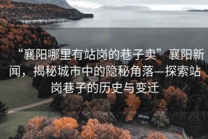 “襄陽哪里有站崗的巷子賣”襄陽新聞，揭秘城市中的隱秘角落—探索站崗巷子的歷史與變遷