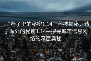 “巷子里的秘密1.14”科技揭秘，巷子深處的秘密1.14—探尋城市信息網絡的深層奧秘