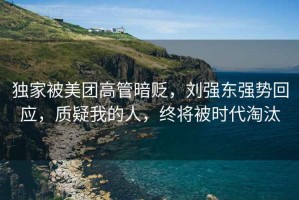 獨(dú)家被美團(tuán)高管暗貶，劉強(qiáng)東強(qiáng)勢回應(yīng)，質(zhì)疑我的人，終將被時(shí)代淘汰