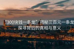 “300塊錢(qián)一條龍”揭秘三百元一條龍，探尋背后的真相與意義
