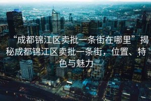 “成都錦江區賣批一條街在哪里”揭秘成都錦江區賣批一條街，位置、特色與魅力