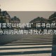 “哪里可以找小姐”探尋自然之美，山水間的風情與尋找心靈的港灣