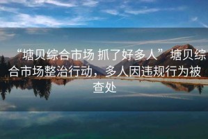 “塘貝綜合市場 抓了好多人”塘貝綜合市場整治行動，多人因違規行為被查處