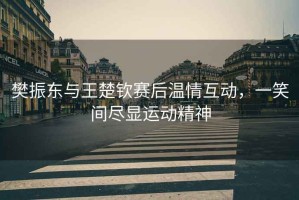 樊振東與王楚欽賽后溫情互動，一笑間盡顯運動精神