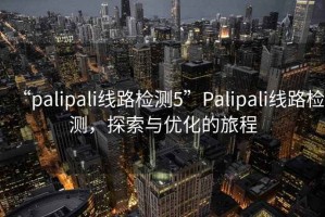 “palipali線路檢測5”Palipali線路檢測，探索與優化的旅程
