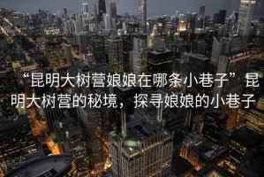 “昆明大樹營娘娘在哪條小巷子”昆明大樹營的秘境，探尋娘娘的小巷子