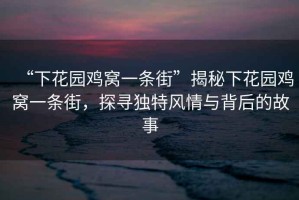 “下花園雞窩一條街”揭秘下花園雞窩一條街，探尋獨特風情與背后的故事