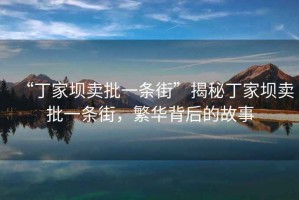 “丁家壩賣批一條街”揭秘丁家壩賣批一條街，繁華背后的故事