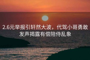 2.6元舉報引軒然大波，代駕小哥勇敢發聲揭露有償陪侍亂象