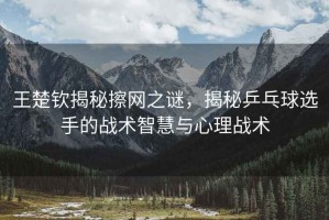 王楚欽揭秘擦網(wǎng)之謎，揭秘乒乓球選手的戰(zhàn)術(shù)智慧與心理戰(zhàn)術(shù)