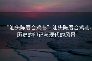 “汕頭陳厝合雞巷”汕頭陳厝合雞巷，歷史的印記與現代的風景
