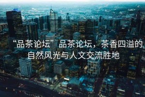 “品茶論壇”品茶論壇，茶香四溢的自然風光與人文交流勝地