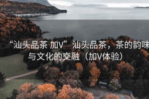 “汕頭品茶 加V”汕頭品茶，茶的韻味與文化的交融（加V體驗）