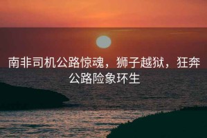 南非司機公路驚魂，獅子越獄，狂奔公路險象環生