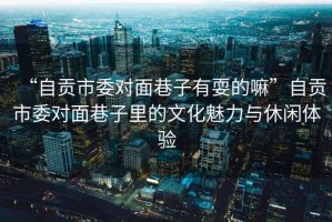 “自貢市委對(duì)面巷子有耍的嘛”自貢市委對(duì)面巷子里的文化魅力與休閑體驗(yàn)