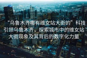“烏魯木齊哪有維女站大街的”科技引領烏魯木齊，探索城市中的維女站大街現象及其背后的數字化力量