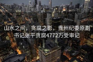 山水之間，貪腐之影，貴州紀委原副書記張平貪腐4772萬受審記