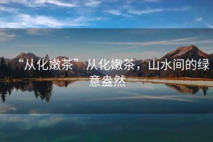 “從化嫩茶”從化嫩茶，山水間的綠意盎然
