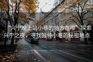 “興寧晚上站小巷的地方在哪”探索興寧之夜，尋找獨特小巷的秘密地點