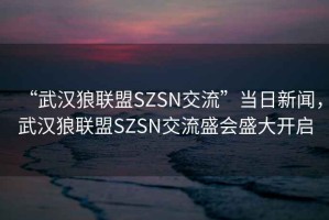 “武漢狼聯盟SZSN交流”當日新聞，武漢狼聯盟SZSN交流盛會盛大開啟