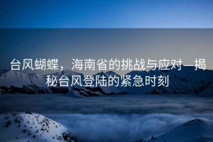 臺風蝴蝶，海南省的挑戰與應對—揭秘臺風登陸的緊急時刻