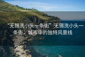 “無錫洗小頭一條街”無錫洗小頭一條街，城市中的獨特風景線