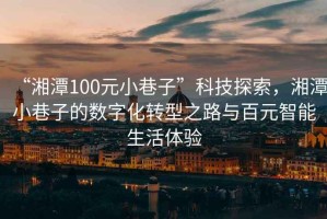 “湘潭100元小巷子”科技探索，湘潭小巷子的數字化轉型之路與百元智能生活體驗