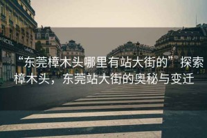 “東莞樟木頭哪里有站大街的”探索樟木頭，東莞站大街的奧秘與變遷