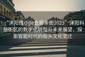 “沭陽找小jie去那條街2023”沭陽科技街區(qū)的數(shù)字化轉(zhuǎn)型與未來展望，探索智能時(shí)代的街頭文化變遷