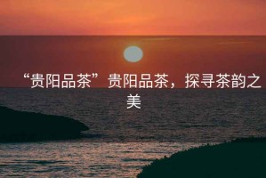 “貴陽品茶”貴陽品茶，探尋茶韻之美