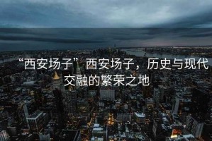 “西安場子”西安場子，歷史與現代交融的繁榮之地