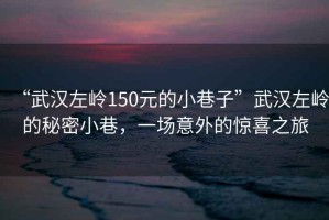 “武漢左嶺150元的小巷子”武漢左嶺的秘密小巷,一場意外的驚喜之旅 “武漢左嶺150元的小巷子”武漢左嶺的秘密小巷,一場意外的驚喜之旅