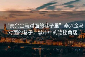 “泰興金馬對面的巷子里”泰興金馬對面的巷子，城市中的隱秘角落