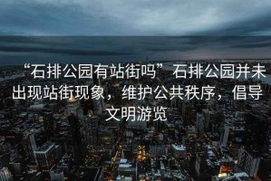 “石排公園有站街嗎”石排公園并未出現站街現象，維護公共秩序，倡導文明游覽