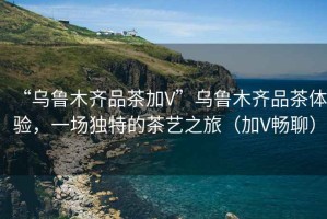 “烏魯木齊品茶加V”烏魯木齊品茶體驗，一場獨特的茶藝之旅（加V暢聊）