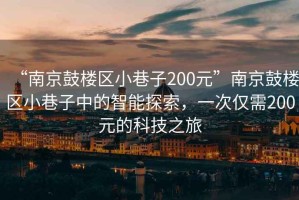 “南京鼓樓區小巷子200元”南京鼓樓區小巷子中的智能探索，一次僅需200元的科技之旅