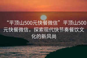 “平頂山500元快餐微信”平頂山500元快餐微信，探索現代快節奏餐飲文化的新風尚
