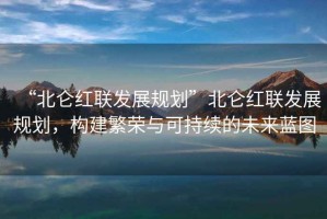 “北侖紅聯發展規劃”北侖紅聯發展規劃，構建繁榮與可持續的未來藍圖