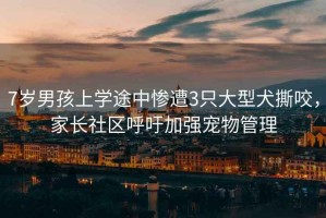 7歲男孩上學途中慘遭3只大型犬撕咬，家長社區呼吁加強寵物管理