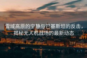 雪域高原的寧靜與巴基斯坦的反擊，揭秘無人機戰場的最新動態