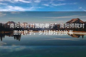 “南陽師院對面的巷子”南陽師院對面的巷子，歲月靜好的故事