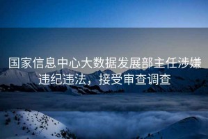 國家信息中心大數據發展部主任涉嫌違紀違法，接受審查調查