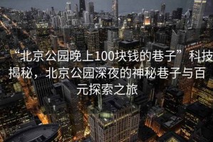 “北京公園晚上100塊錢的巷子”科技揭秘，北京公園深夜的神秘巷子與百元探索之旅