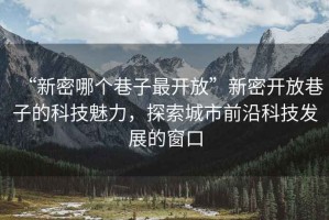“新密哪個巷子最開放”新密開放巷子的科技魅力，探索城市前沿科技發展的窗口