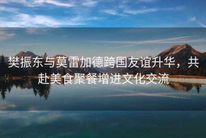 樊振東與莫雷加德跨國友誼升華，共赴美食聚餐增進文化交流