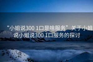 “小姐說300 1口是啥服務(wù)”關(guān)于小姐說小姐說300 1口服務(wù)的探討