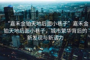 “嘉禾金鉑天地后面小巷子”嘉禾金鉑天地后面小巷子，城市繁華背后的新發(fā)現(xiàn)與新活力