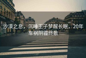 沙漠之息，沉睡王子夢醒長眠，20年車禍陰霾終散