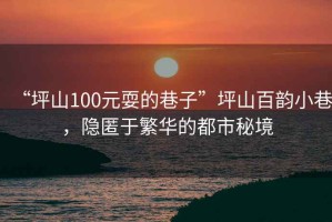 “坪山100元耍的巷子”坪山百韻小巷，隱匿于繁華的都市秘境