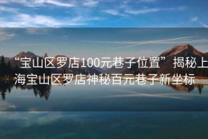 “寶山區羅店100元巷子位置”揭秘上海寶山區羅店神秘百元巷子新坐標